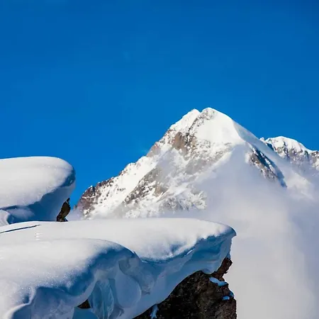 L'atelier Du Temps - Chez Leo *